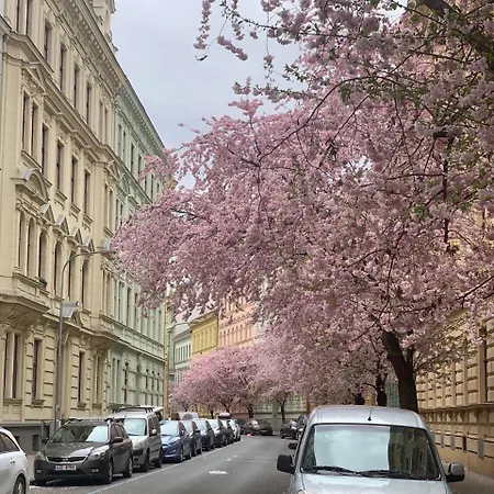 דירה Comfort Place Brno, Hybesova ברנו